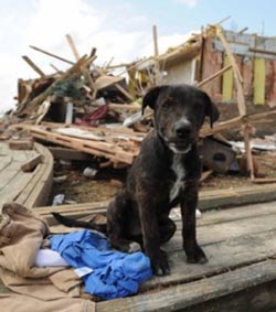 Damage in Tuscaloosa June 2011