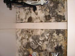 Mold damage in a closet