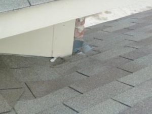 Roof shingles