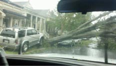 Day after Hurricane Isaac at Algiers Point 