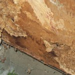 Damage to structural sheathing