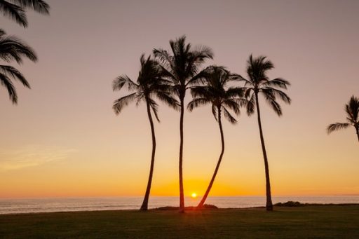 Hawaii Weather Alerts
