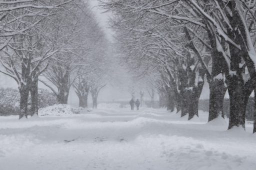 Vermont Weather Alerts