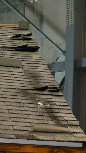 Roof damage