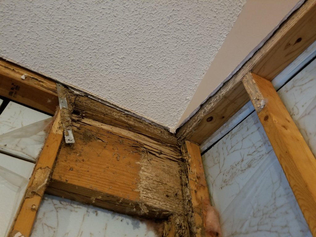 termite damaged wood