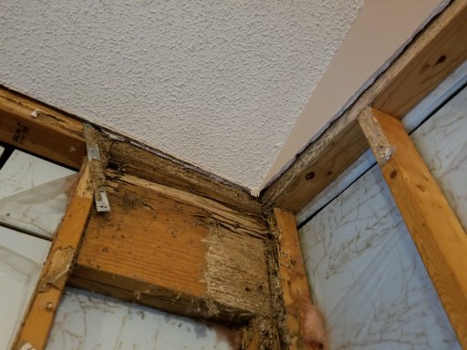 termite damaged wood