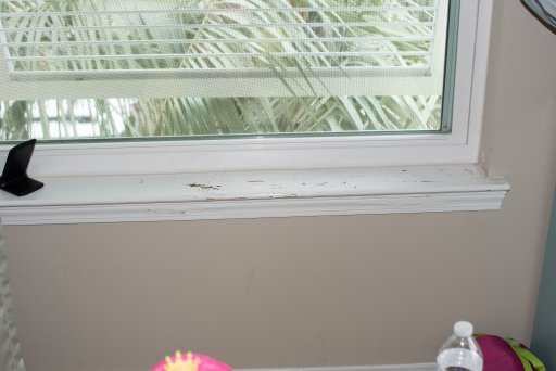 what termite damage looks like
